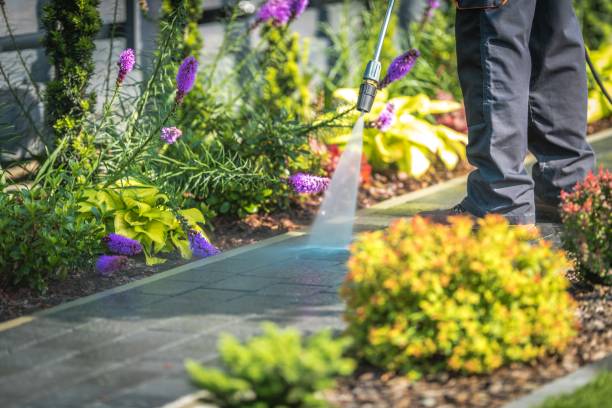 Best Patio and Deck Pressure Washing  in , MT