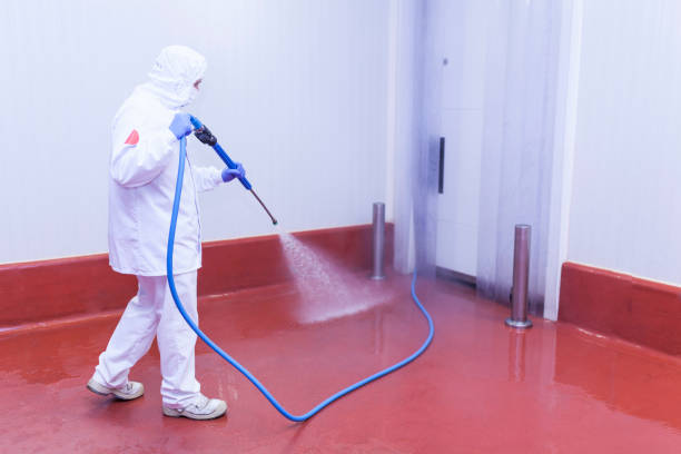 Best Boat and Dock Cleaning  in , MT