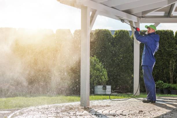 Best Roof Washing  in , MT